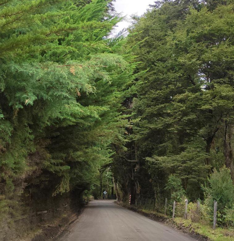 Cabana Ensenada, Puerto Varas - 1 Ambiente Екстер'єр фото