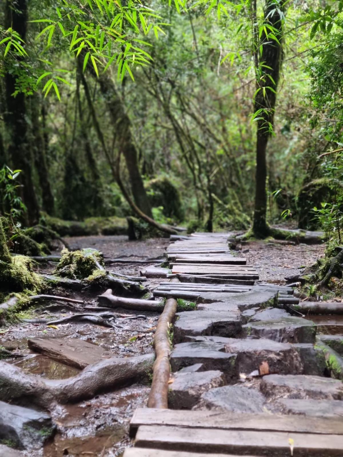 Cabana Ensenada, Puerto Varas - 1 Ambiente Екстер'єр фото
